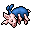 pet pig