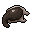 pale worm's scalp