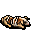 dead pig